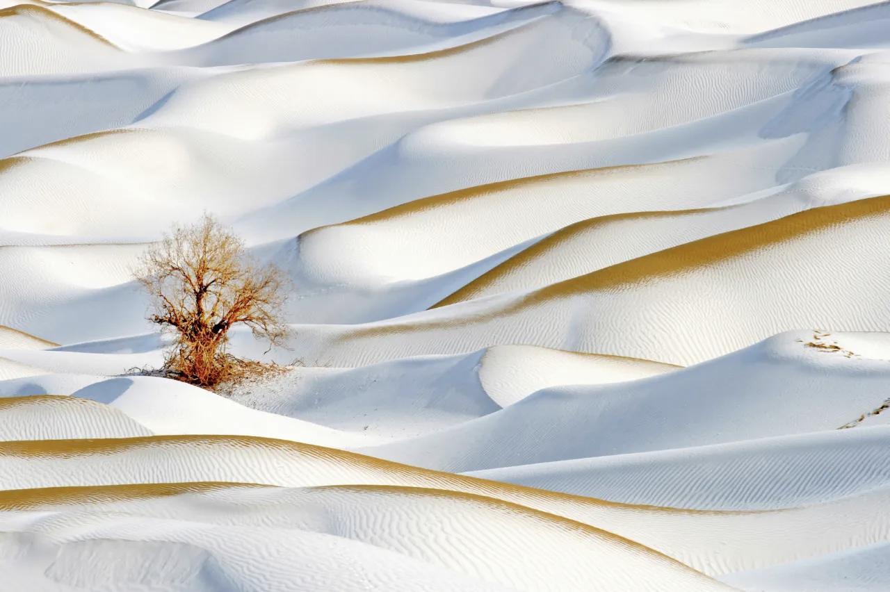 【情绪，不过是智慧不够的产物】
        “情绪，不过是智慧不够的产物”，