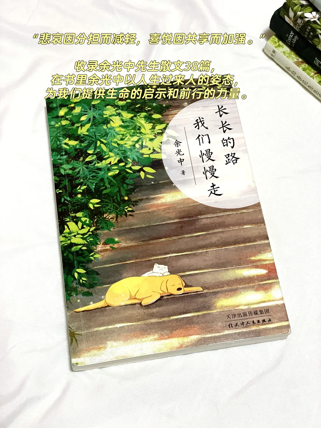 不愧是央视推荐🍃这5本散文集治愈到爆！！
