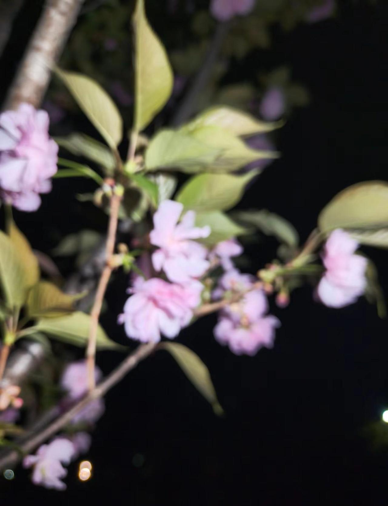 怎么今天又下起了蒙蒙细雨