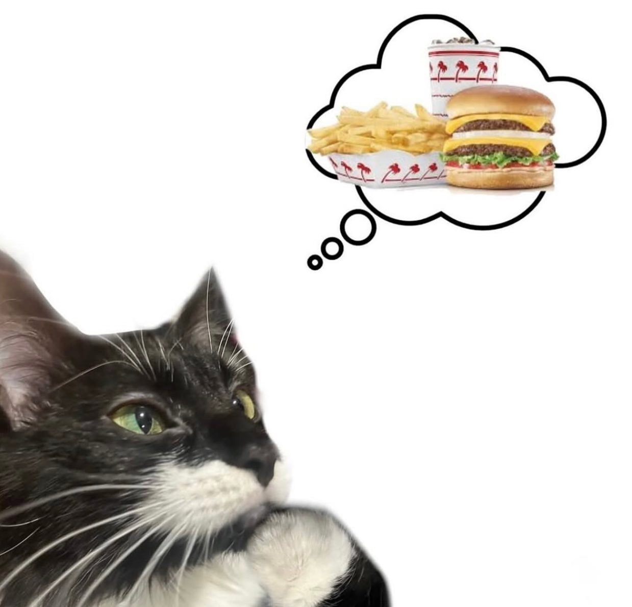 开饭！！ ​​​