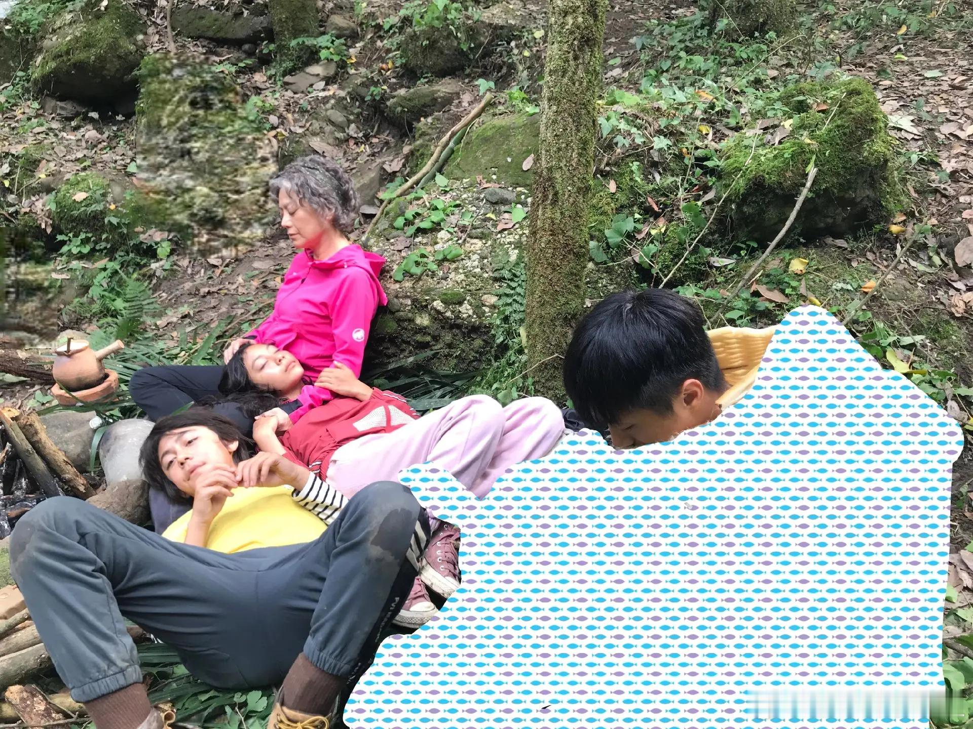 #诺一霓娜气质##诺一霓娜颜值# 13岁的诺一和12岁的霓娜近照，网友：刘烨的这