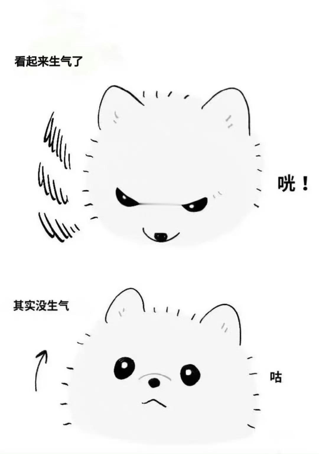 生气了，我装的🥺 