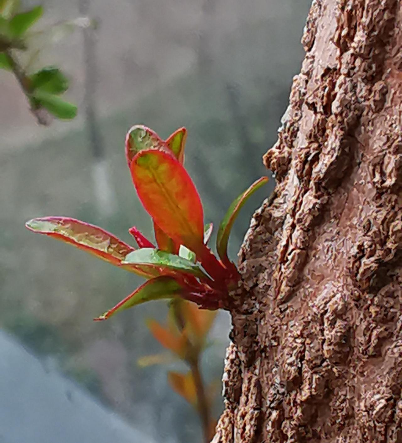 在俄罗斯刚刚传出质疑和反对声音的重要时间点上，北约突然下场访问乌克兰，不会是纯粹
