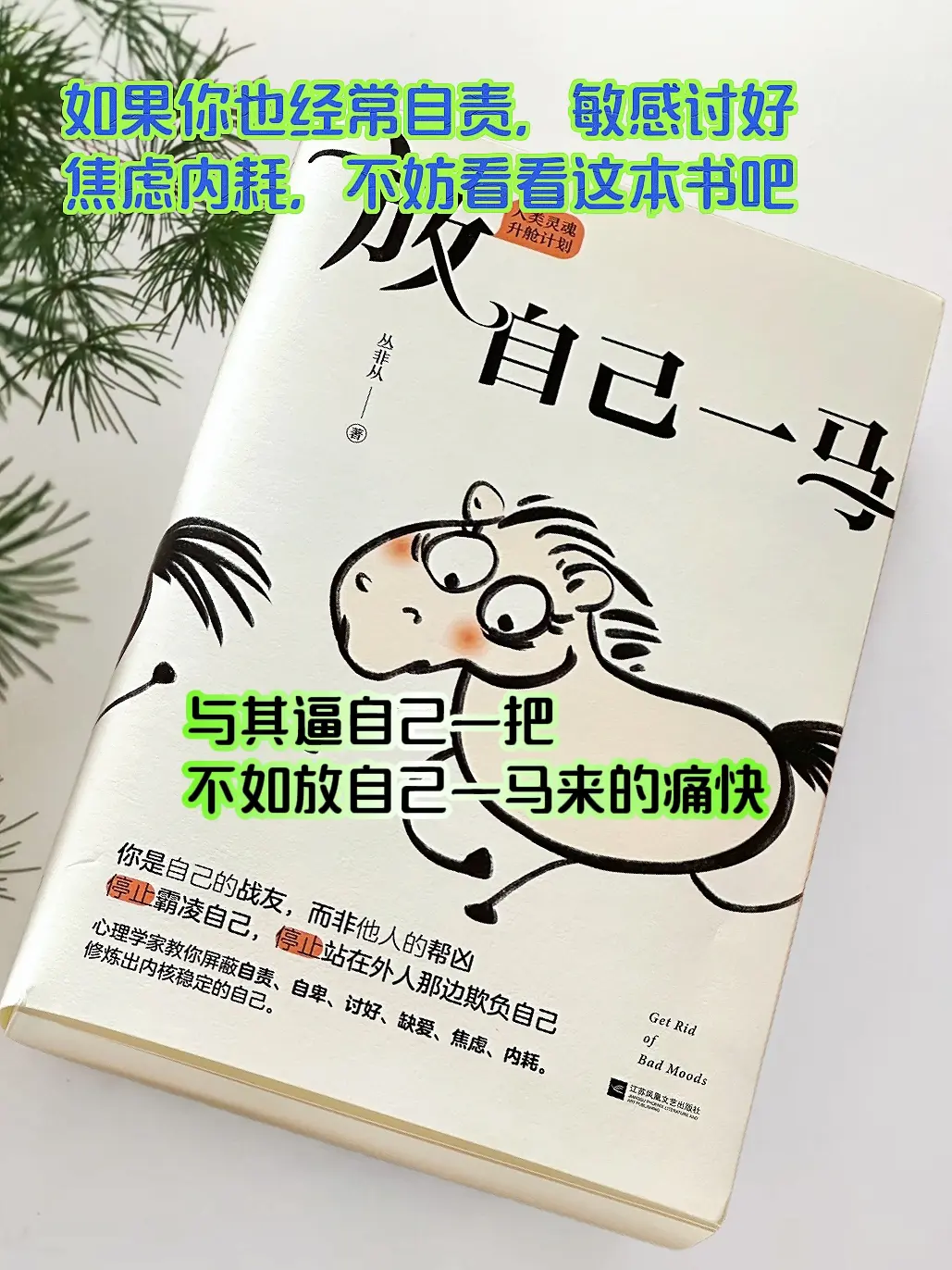 如果你也经常自责，敏感，讨好，焦虑，内耗，不妨看看这本书吧，书中关于爱...