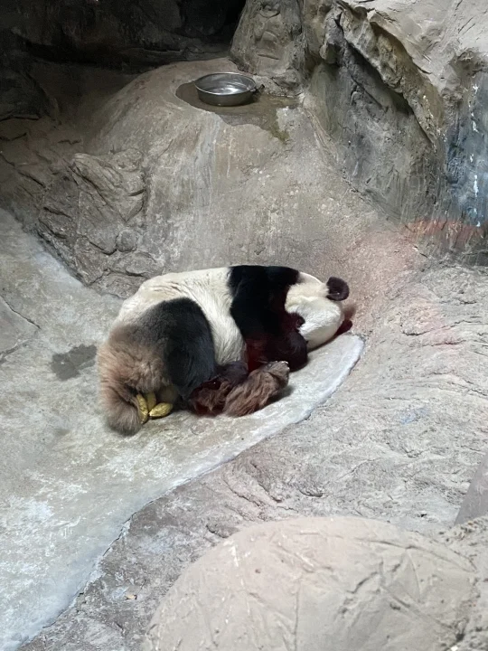 不带tag看看能召唤到亲妈么