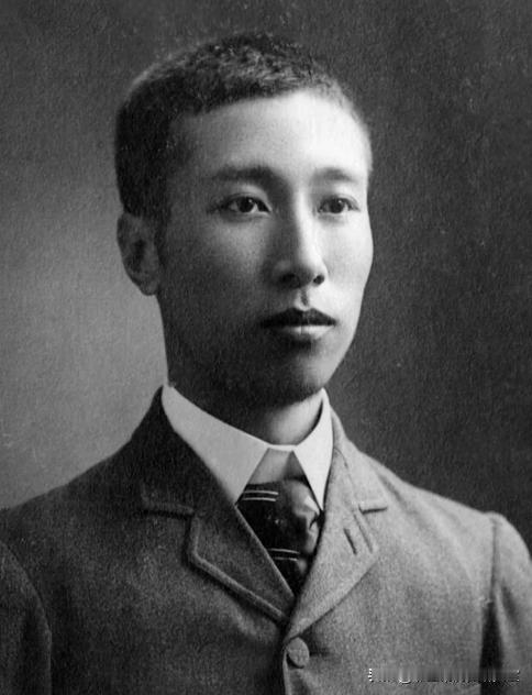 杨度为了救国，把除了卖国投敌的方式都尝试了一遍。

最后一次选对了，却天不假年。
