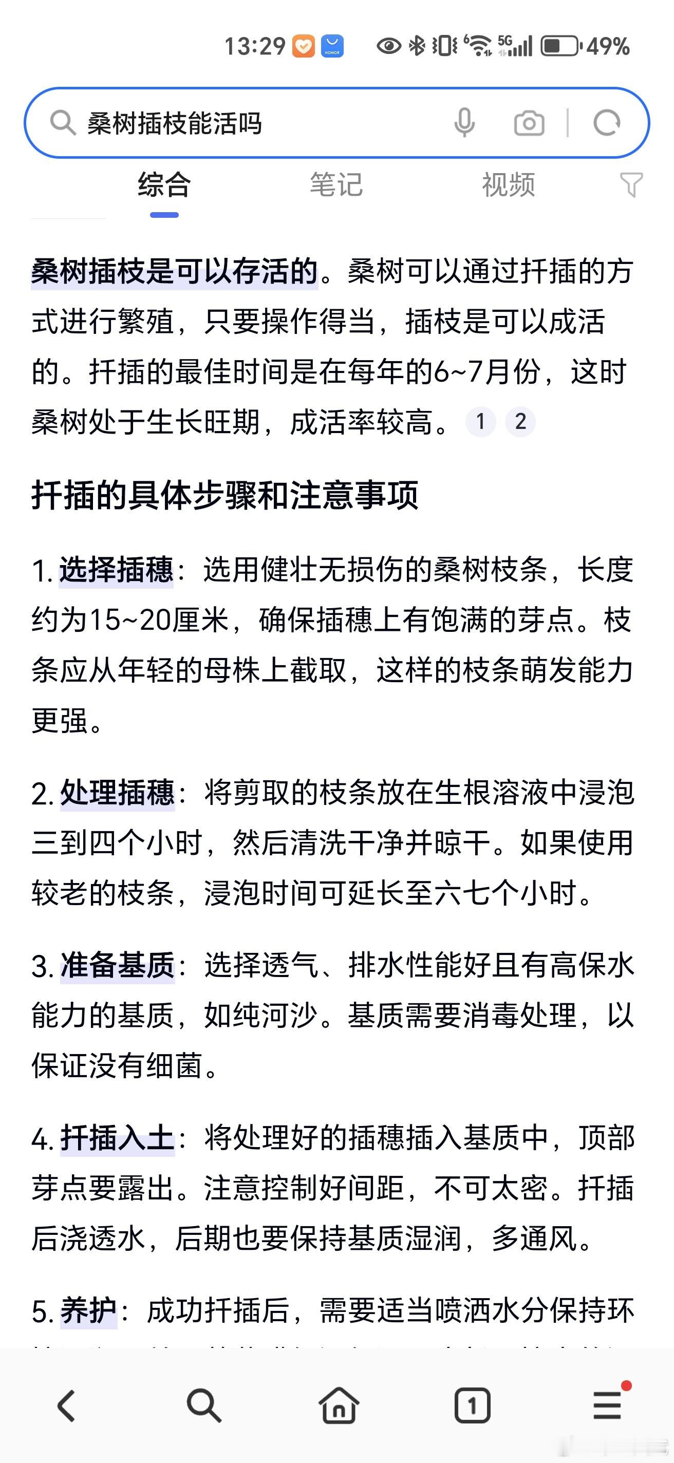 第二天。​​小时候我靠这样插一下桑枝养活了不少蚕，那时候有院子，现在只有小盒子[