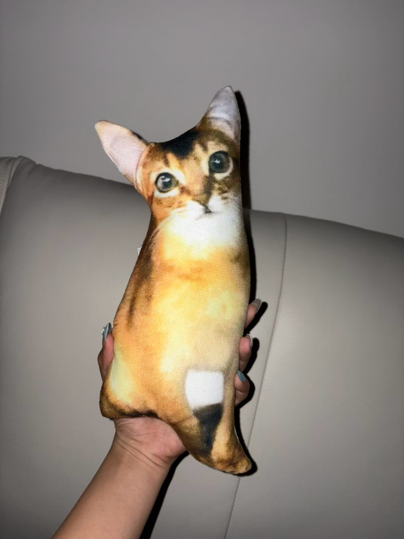 今晚陪睡嘉宾 