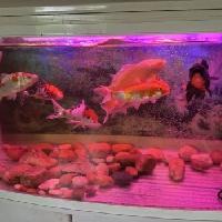 队友驱车去内蒙已经6天了，队友出发前，除了千叮咛万嘱咐让我吃饭不要凑合以外，还特