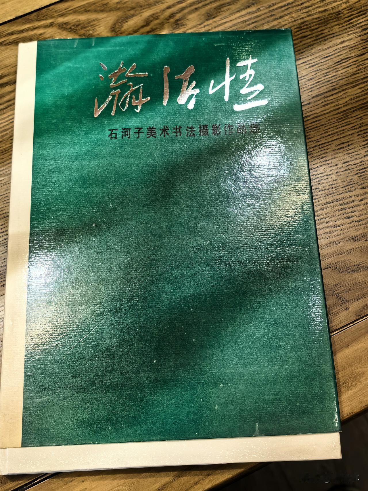 在新疆新大地实业有限公司文化活动室，我看到由原新疆生产建设兵团文联副主席郭成云捐