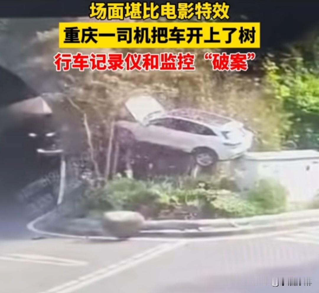 “快、准、狠”，动作一气呵成无比丝滑，缺少哪一样都达不到飞车上树的效果。
连交J