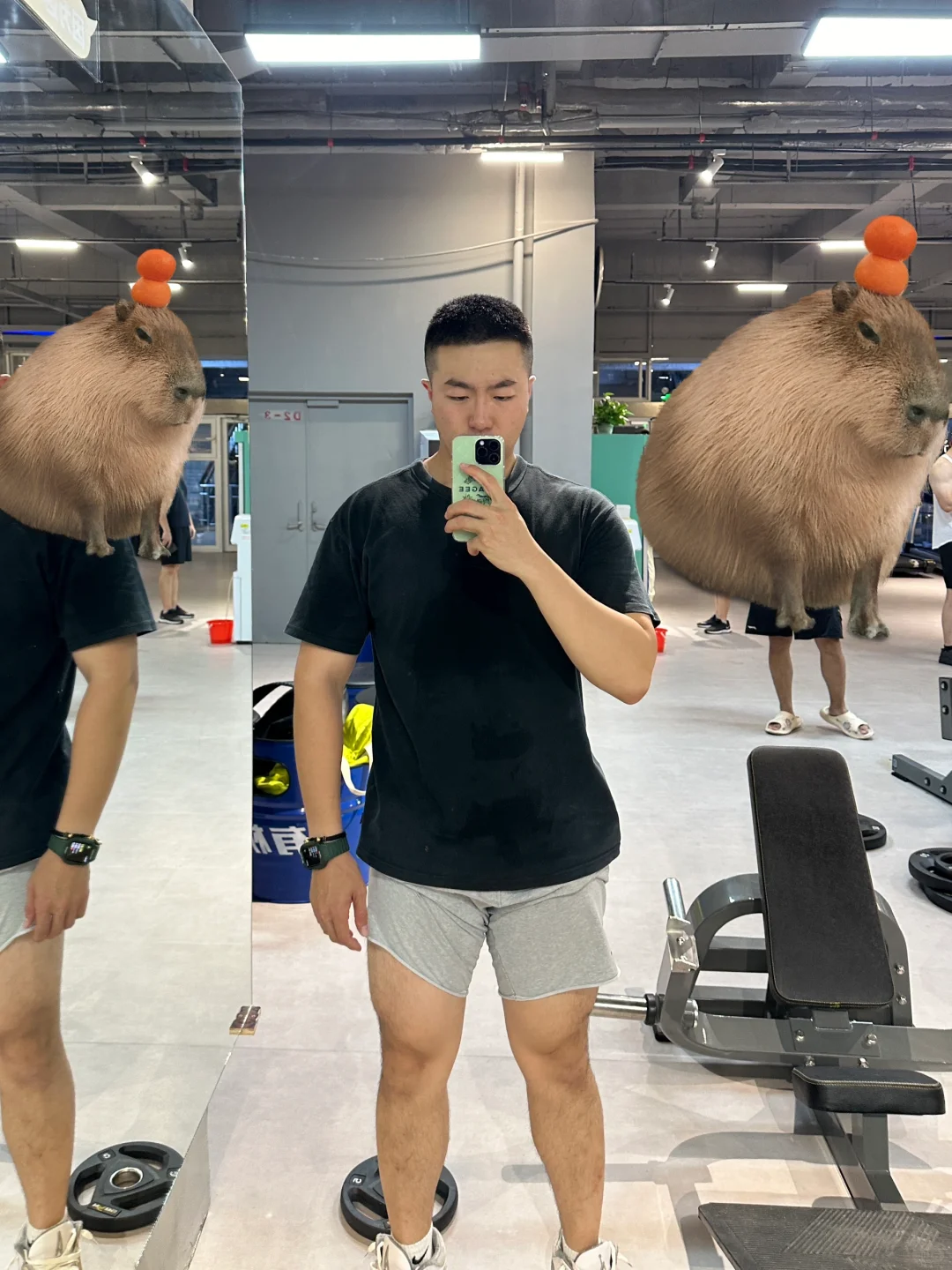 想当你的小尾巴，屁颠屁颠的那种