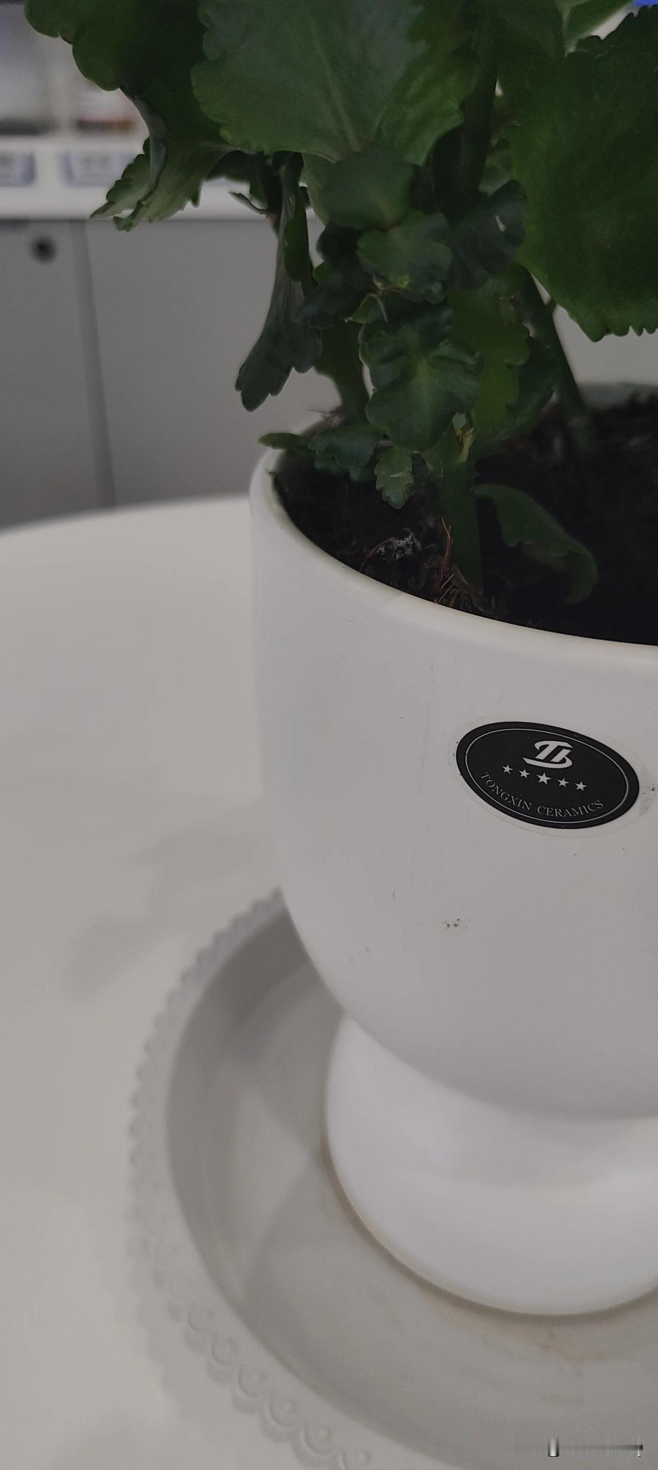最近大家要注意了，跑路的太多了!
今天听家里老人又讲了一个针对老人的新型骗局! 