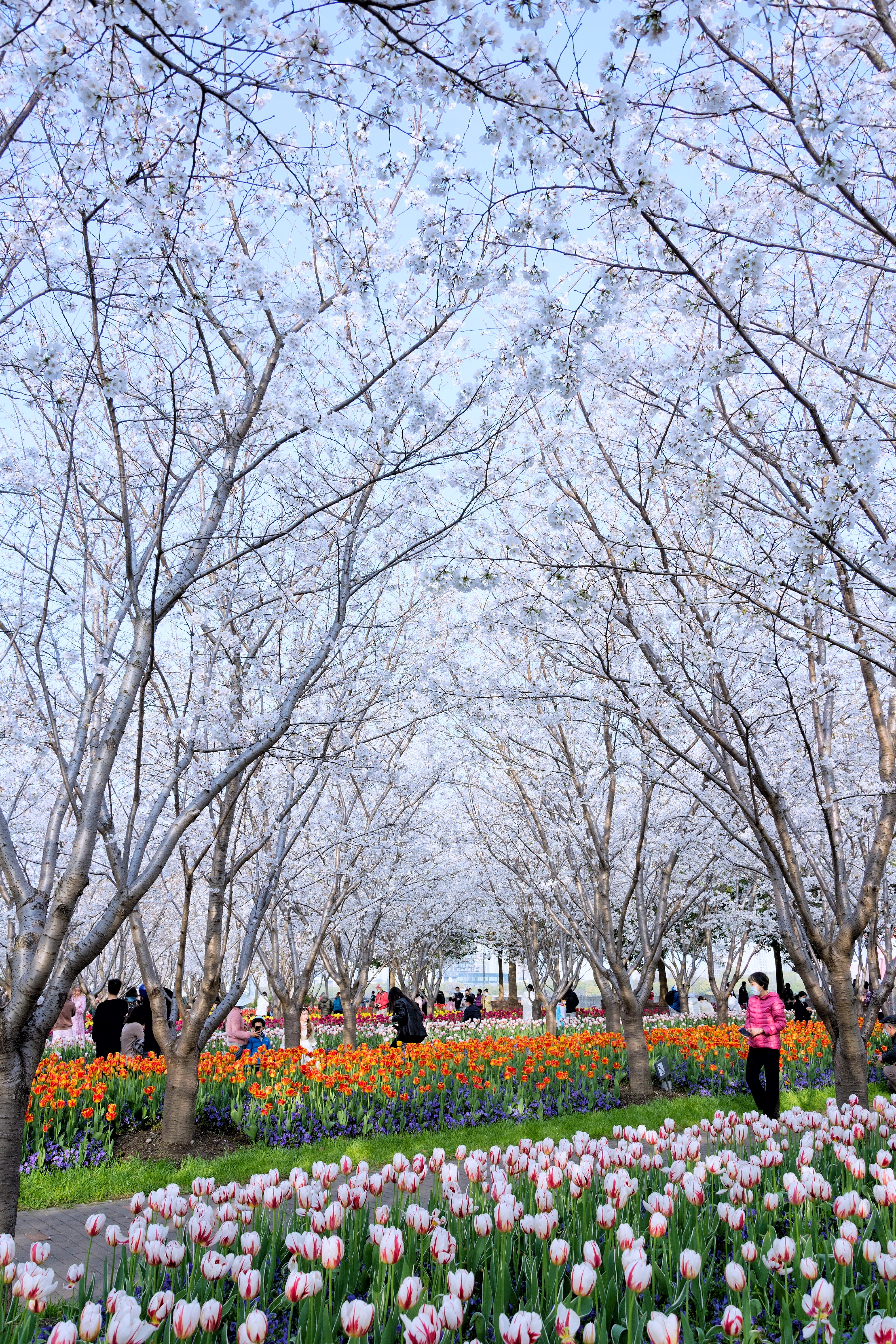 你好春天 给你看看同款