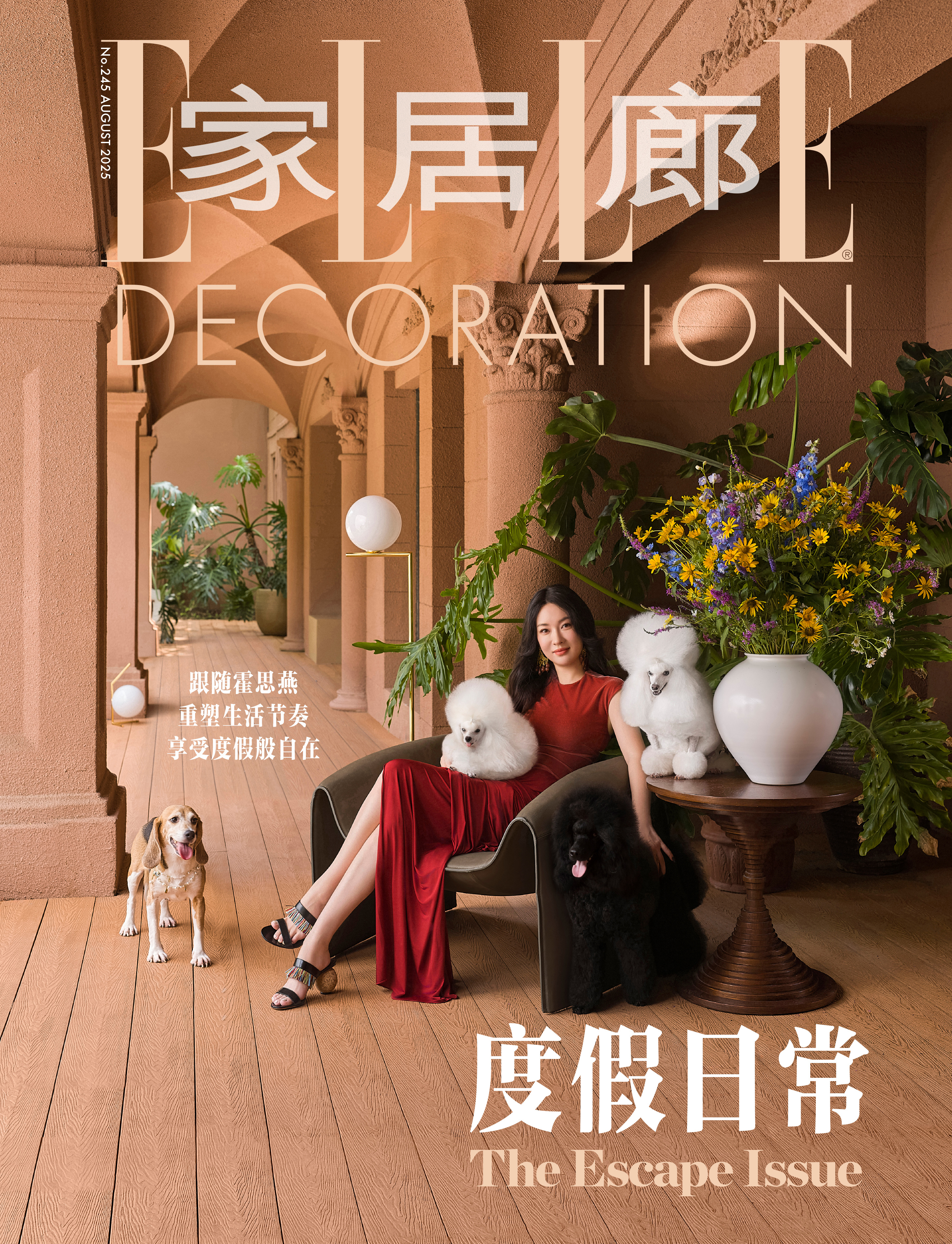 霍思燕家养了20只狗霍思燕家的高光角落ELLEDECO家居廊 ​​​