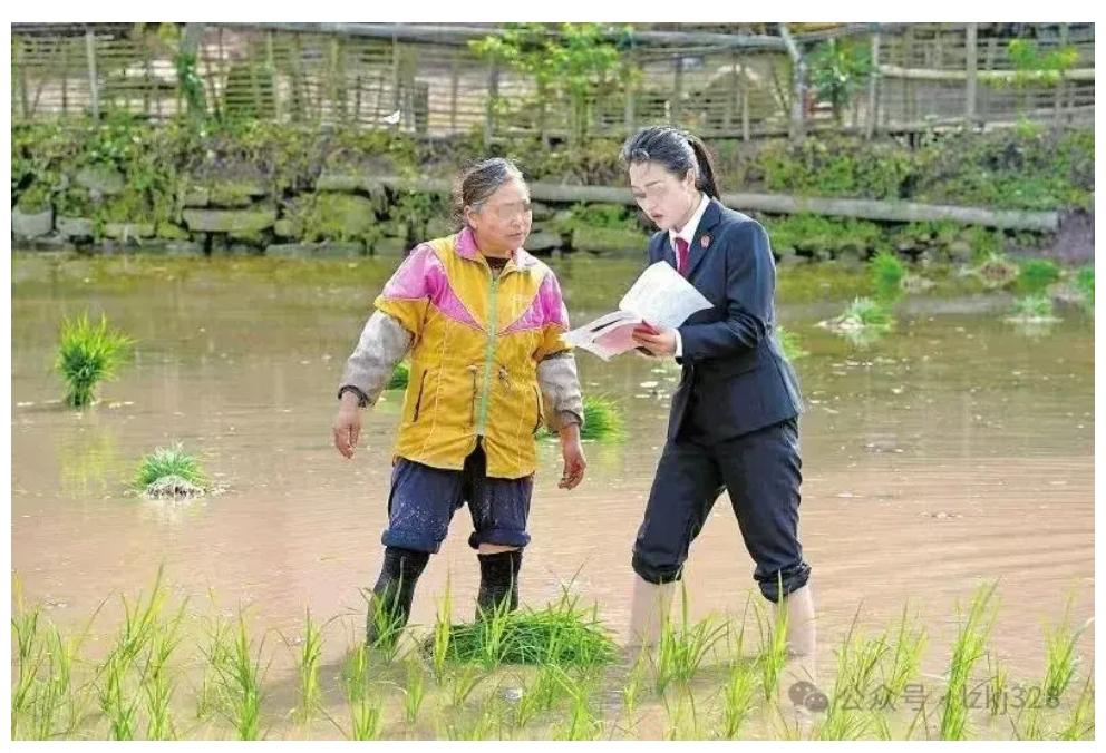 “边插秧边普法”？[笑哭]这是谁的部将…人才啊[我想静静]