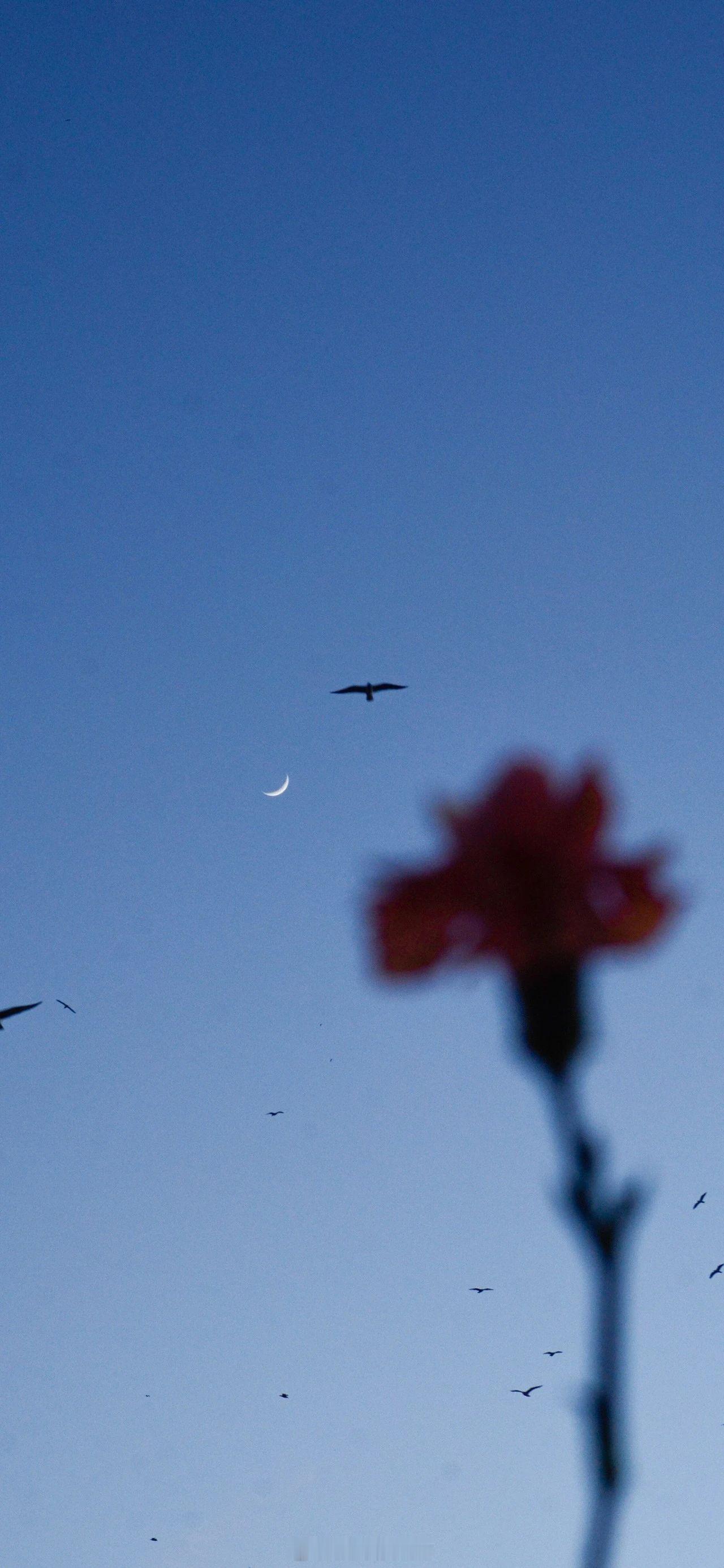 她是清晨时分，他是落日时刻。至此相逢，却无数欢欣与雀跃。——柒沿里《夏天的雨不讲
