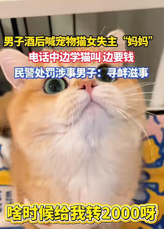“离了个大谱！”5月6日报道，天津，一女子猫咪走失，她发布寻猫启事后，一名男子给