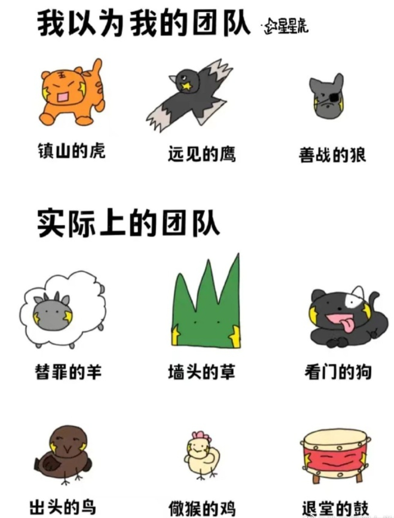 这是你们的团队吗？ ​​​
