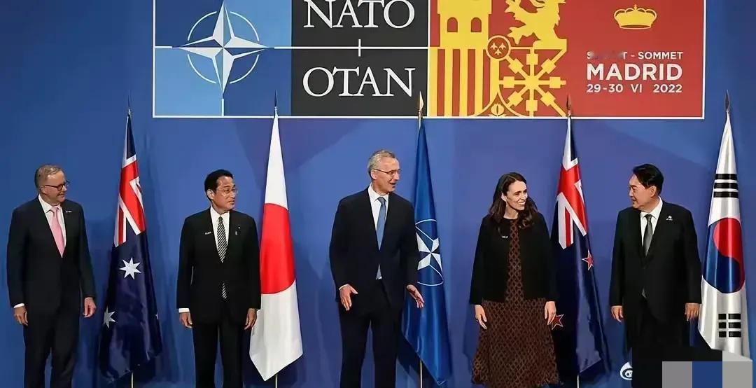 本月9日至11日，北约峰会将在华盛顿举行。此次峰会面临一大堆难题，主要包括以下几