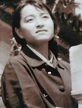 1995年一封匿名举报信拉开褚家经济案件调查，褚时健妻弟妻妹，女儿褚映群，妻子马