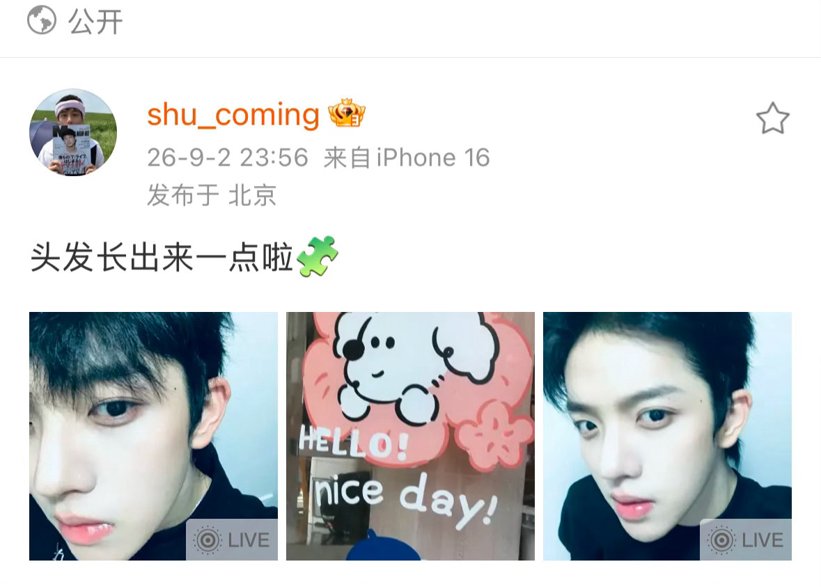 其实这是两只狗贺迪云在力挺两只小狗塑，叫你们粉碎机乱粉碎 ​​​