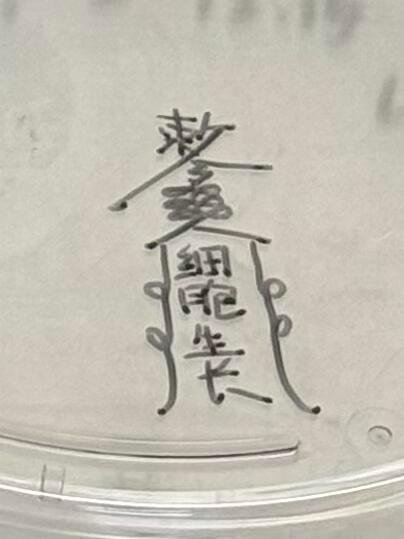 当实验室来了位“法师” 