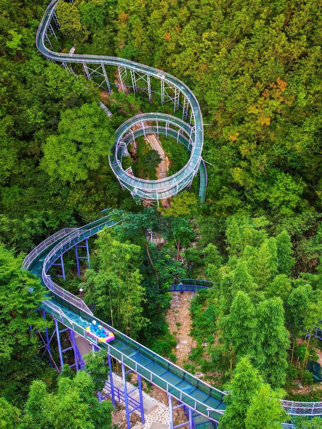 浙江沪避暑乐园  18℃的夏天也太爽了‼️