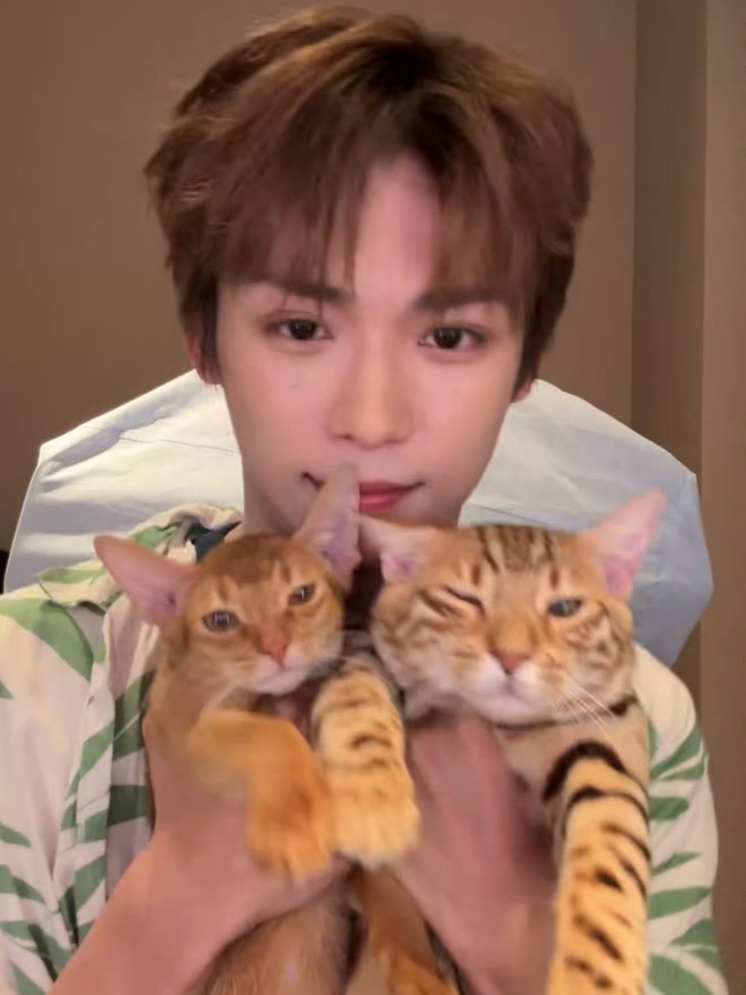 啊啊啊啊啊啊啊三张特别特别萌的脸，这一波我们大鱼赢了，还做了Wink