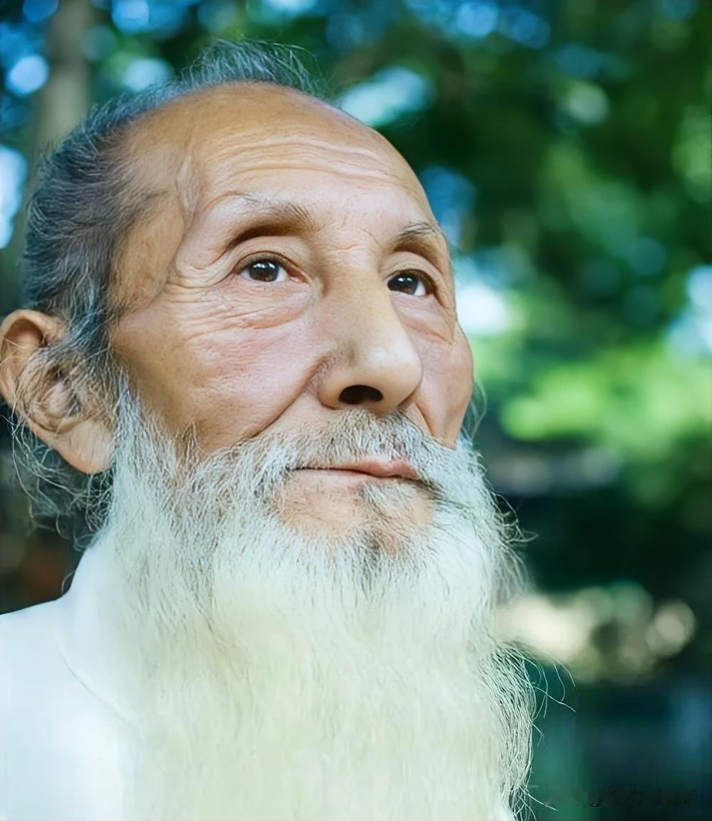 人的最大智慧是什么?
人的最大智慧是和生活和解。向外看世界喧嚣，向内修一颗从容静