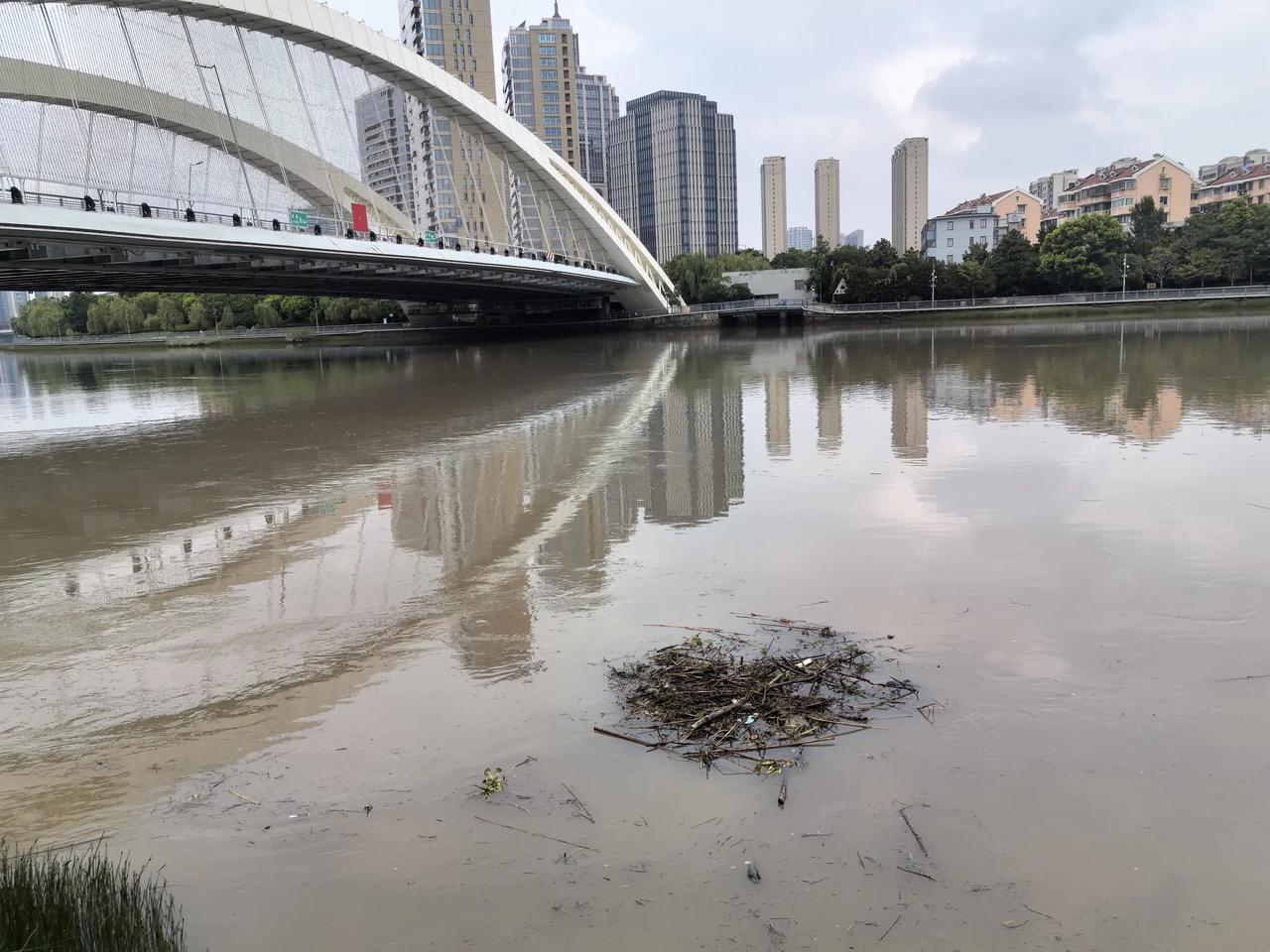 好久没去江边跑步了。
      “白海豚”台风很是奇葩，前前后后影响了十几天，
