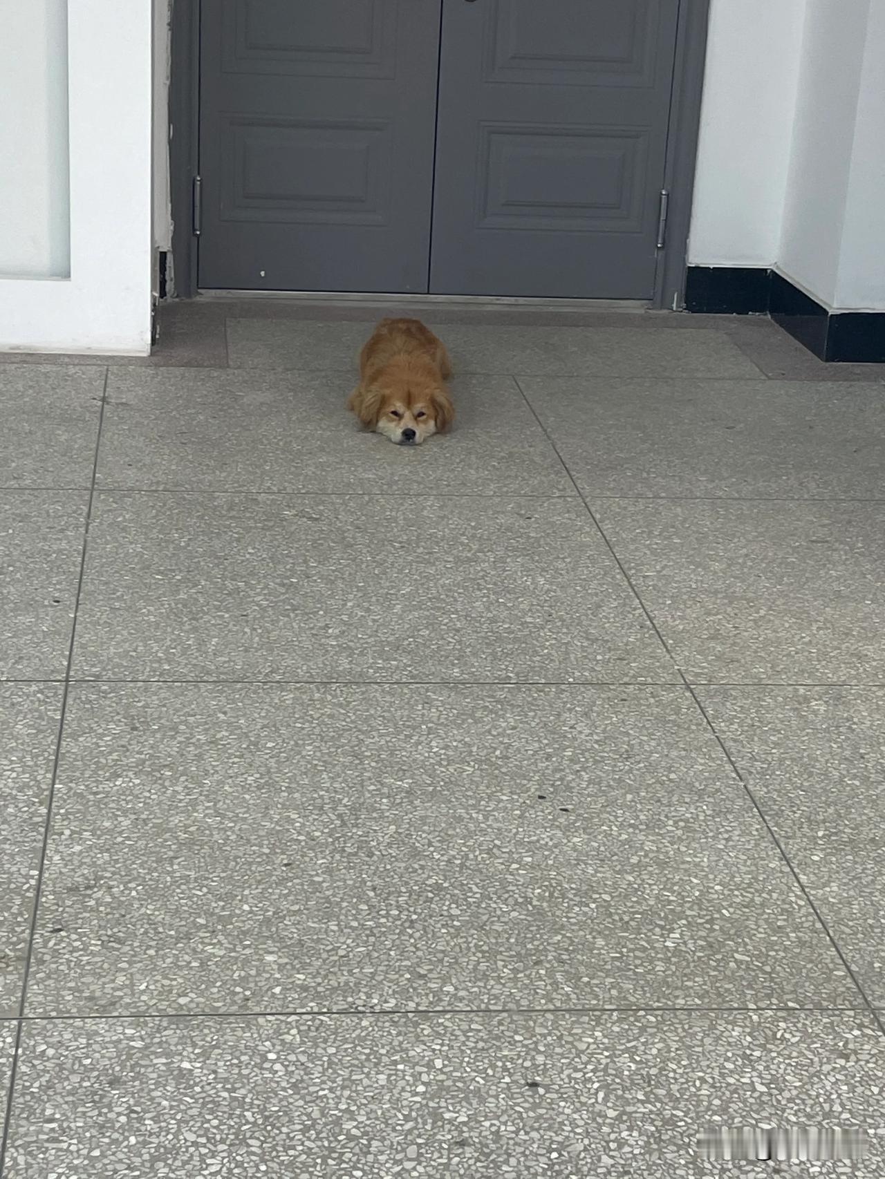 你有它开心，幸福吗