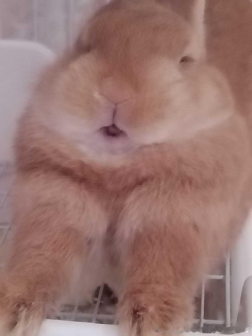 13757🐇【老头】长得像那种鬼迷日眼的领退休金的猥琐老头，躺在床上儿媳妇我要