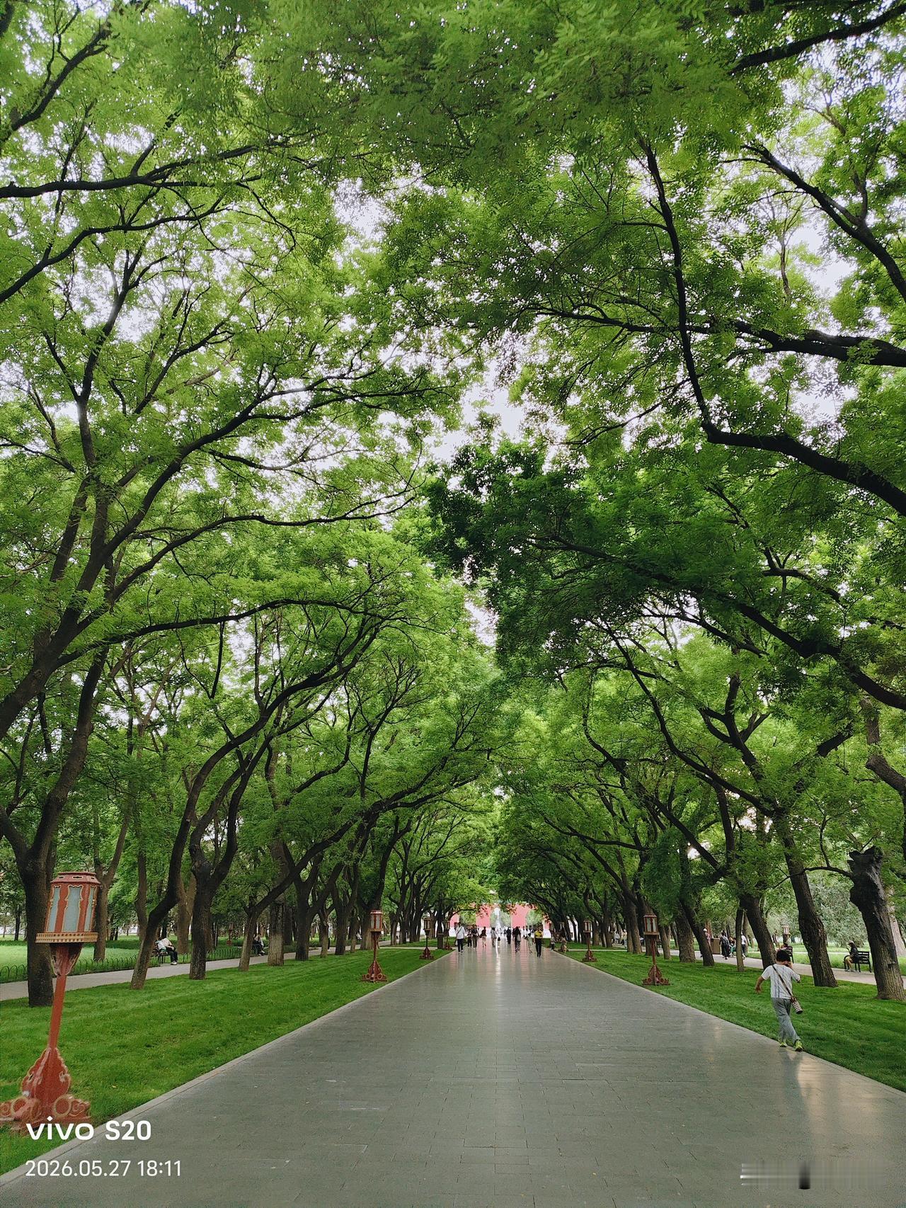 天坛公园还有树荫和林间小道，
这条林荫小道像城市的呼吸口，阳光、长椅和路人的剪影