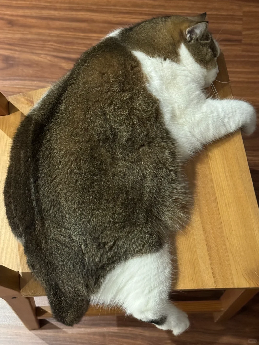 从哪个角度看都是圆的
