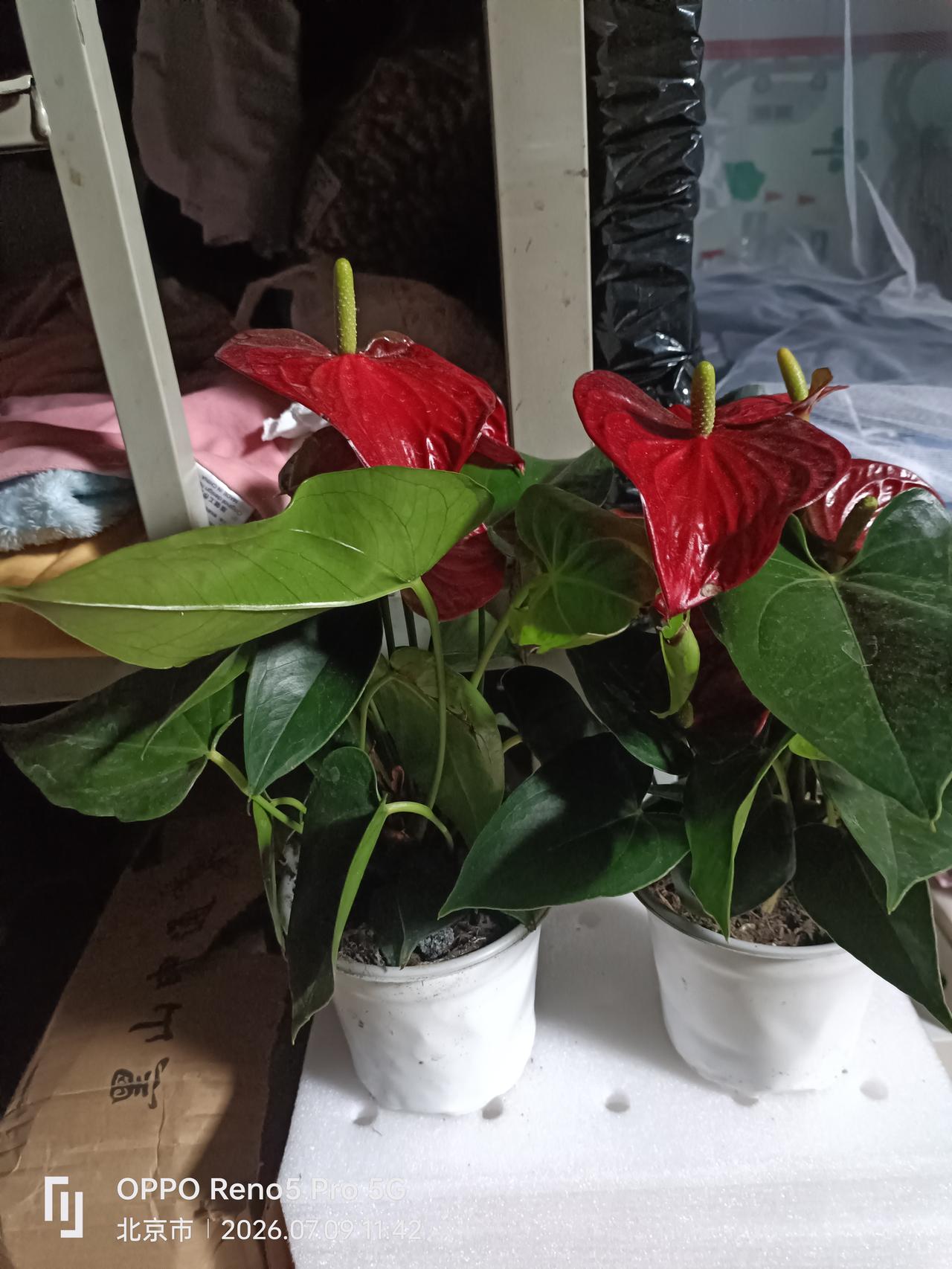 《人生大戏，笑对沧桑》

人生之路，宛如一座大气磅礴的舞台，你方唱罢我登场。怎么