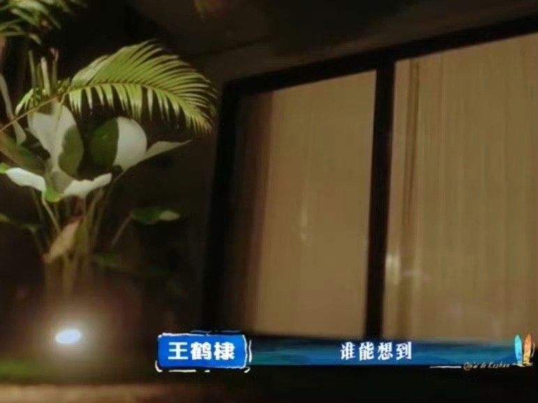 成年人最舒服的状态，大概就是和挚友一起熬夜看星河吧王鹤棣王传君武大靖熬夜看星星亲