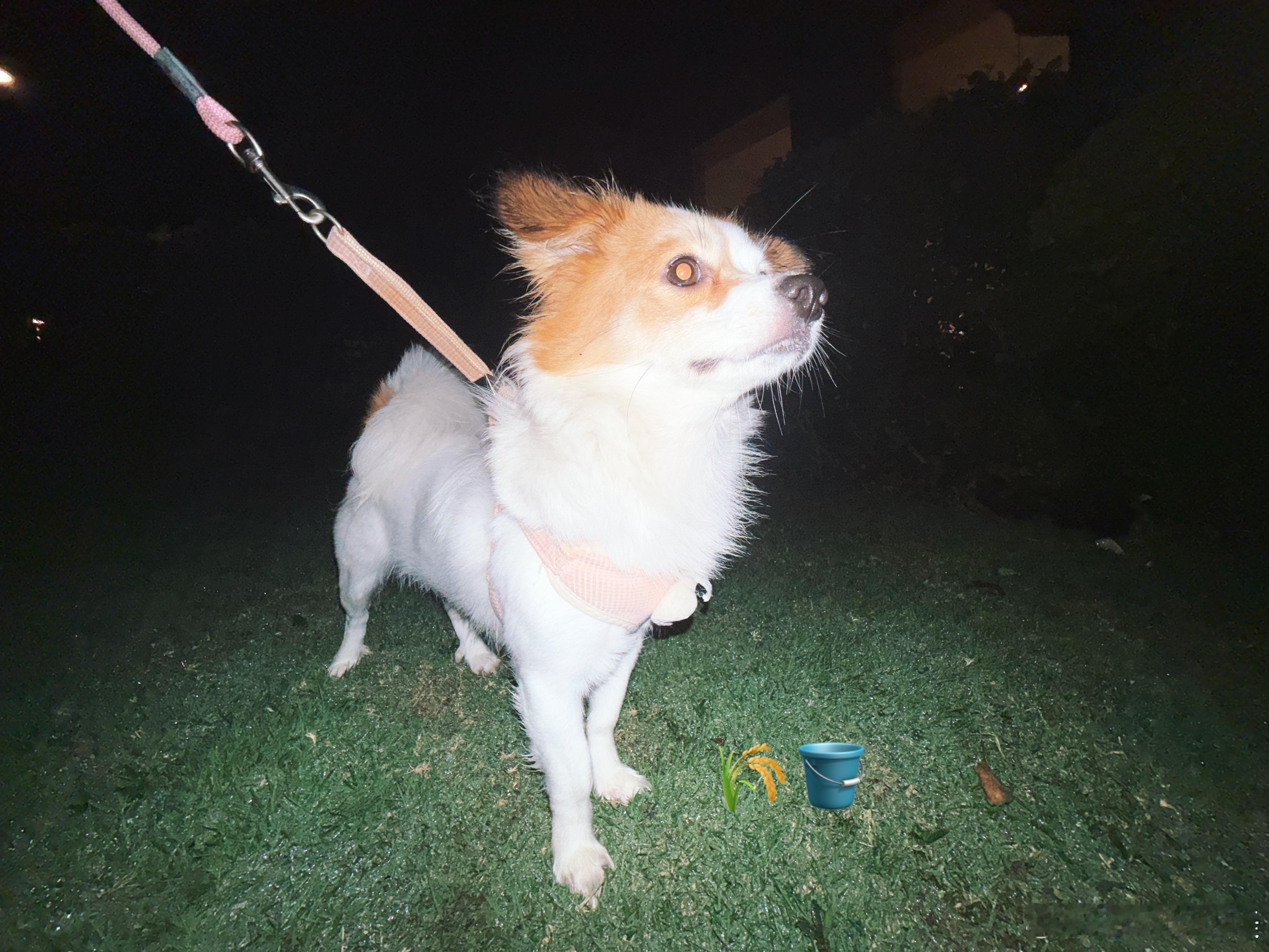 🐾今天开心吗 ​​​