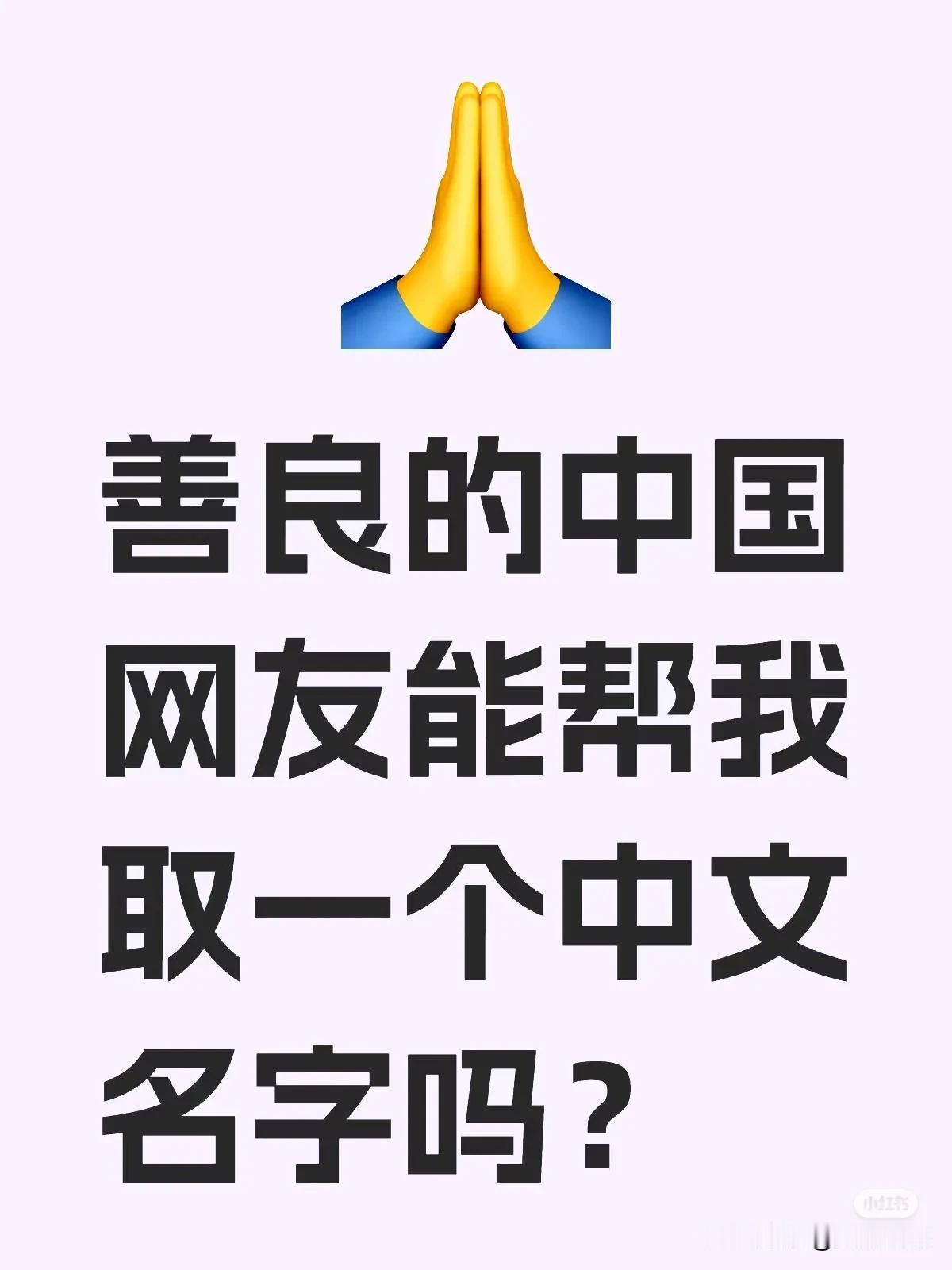 善良的中国网友，我是Tik Tok难民，帮我取个好听霸气，威武的中文名字