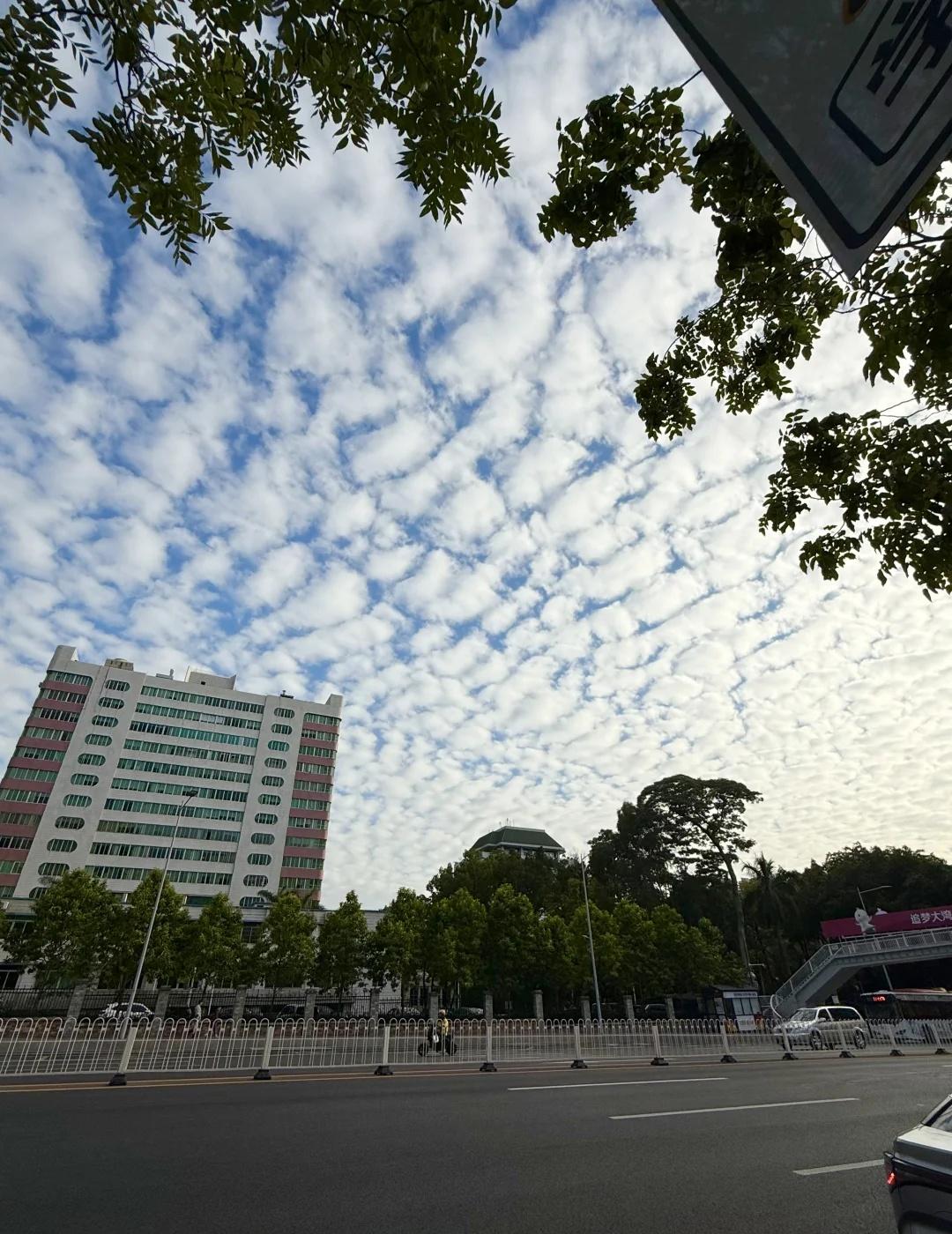 广州今天的云怎么这样的。。。
接下来有什么奇怪天气吗？
广州