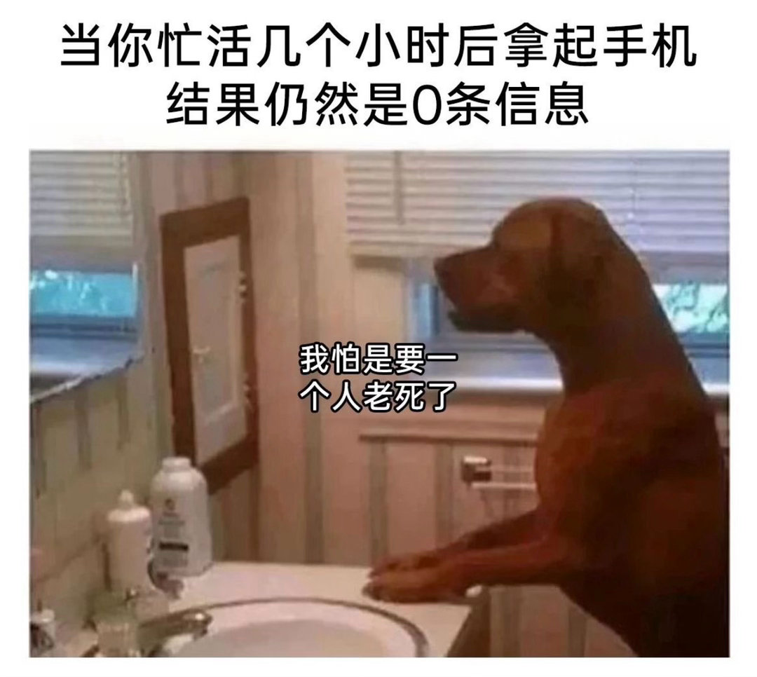 上班时🥲：今日memesfunny memememe