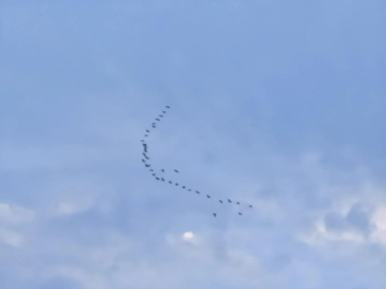 上传一张你手机里天空的照片吧