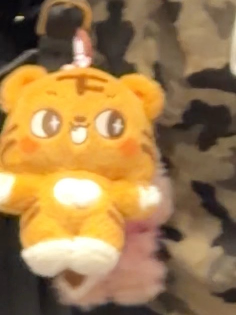 哪里来的 