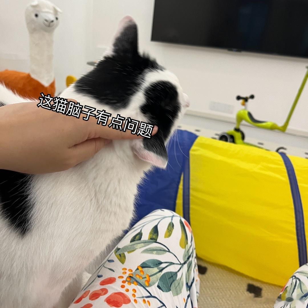 分享图片 ​​​