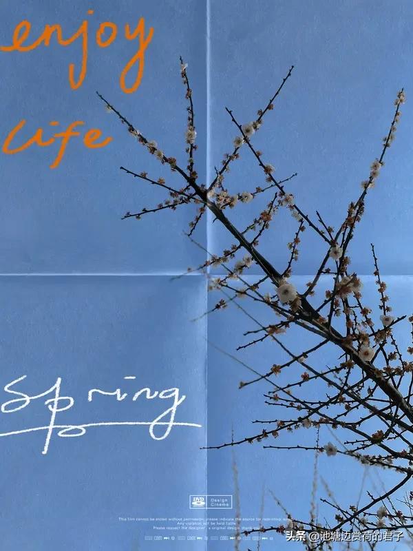 春日生活打卡季 今日生活趣味满满。晚上和老公散步消食，走在昏黄路灯下，车辆稀少，