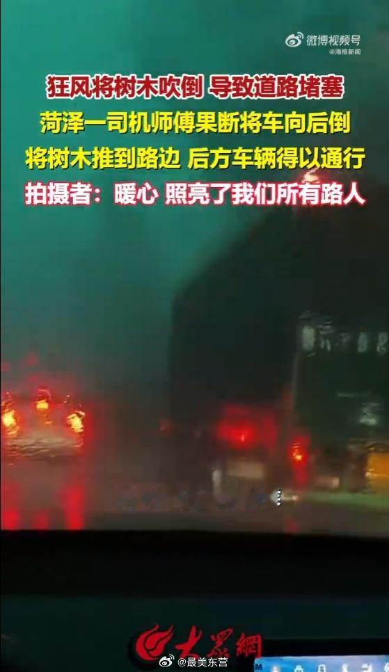 山东大哥暴雨中用车推树清障  7月6日菏泽郓城遭遇狂风暴雨，220国道一棵大树被