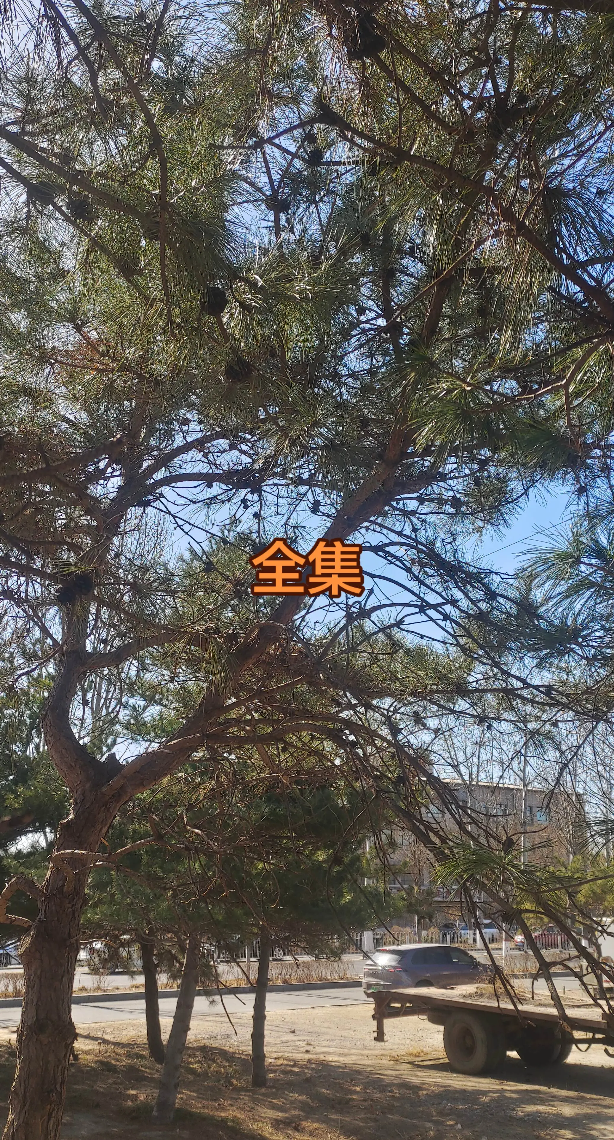自然景观