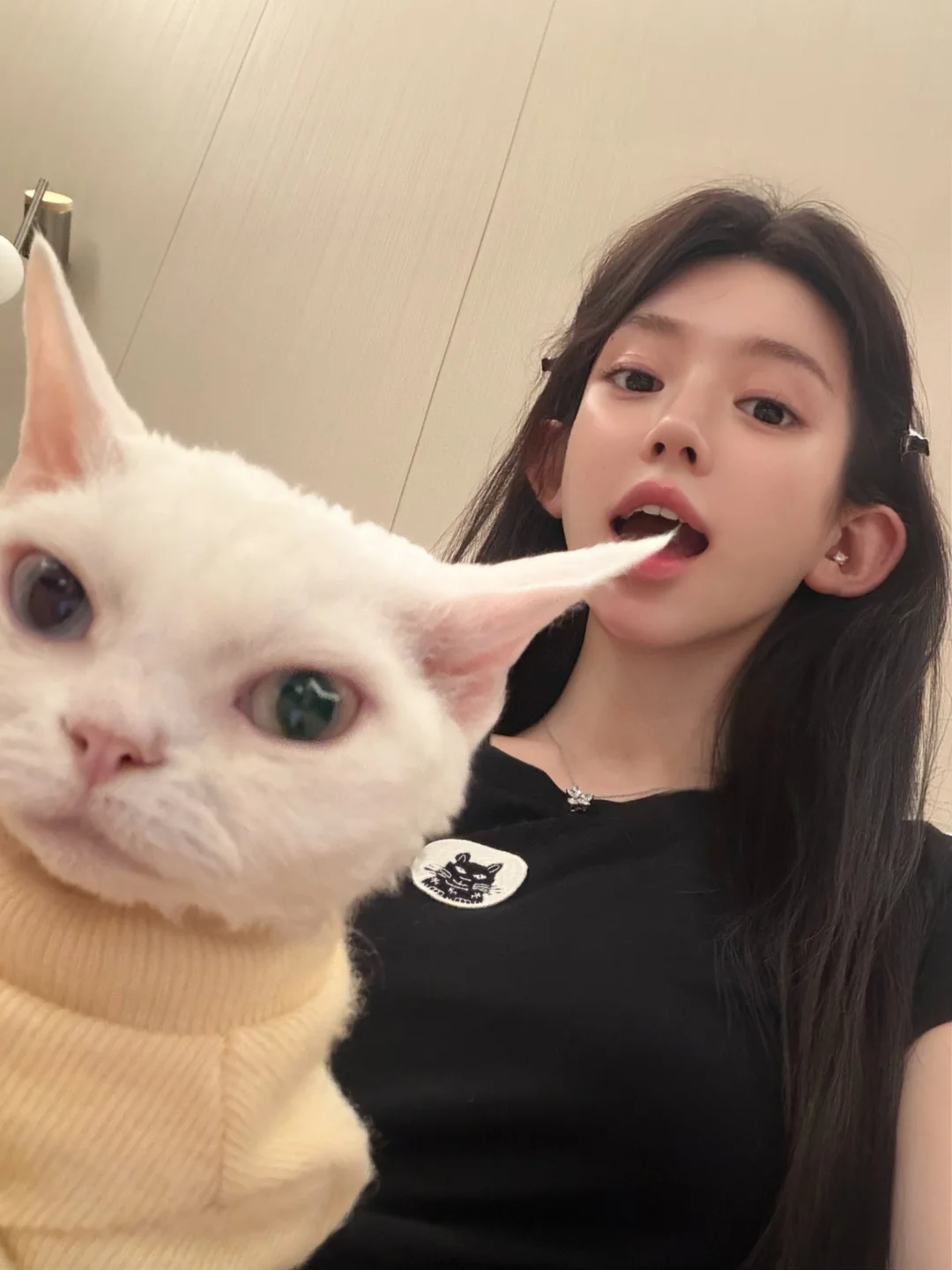 一口吃掉₍˄·͈༝·͈˄*₎◞ ̑̑