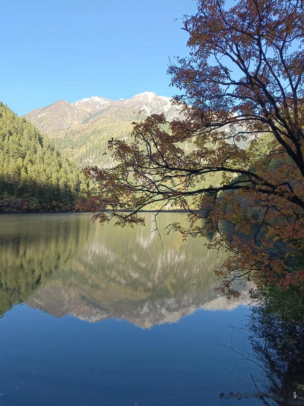 
九寨沟秋色