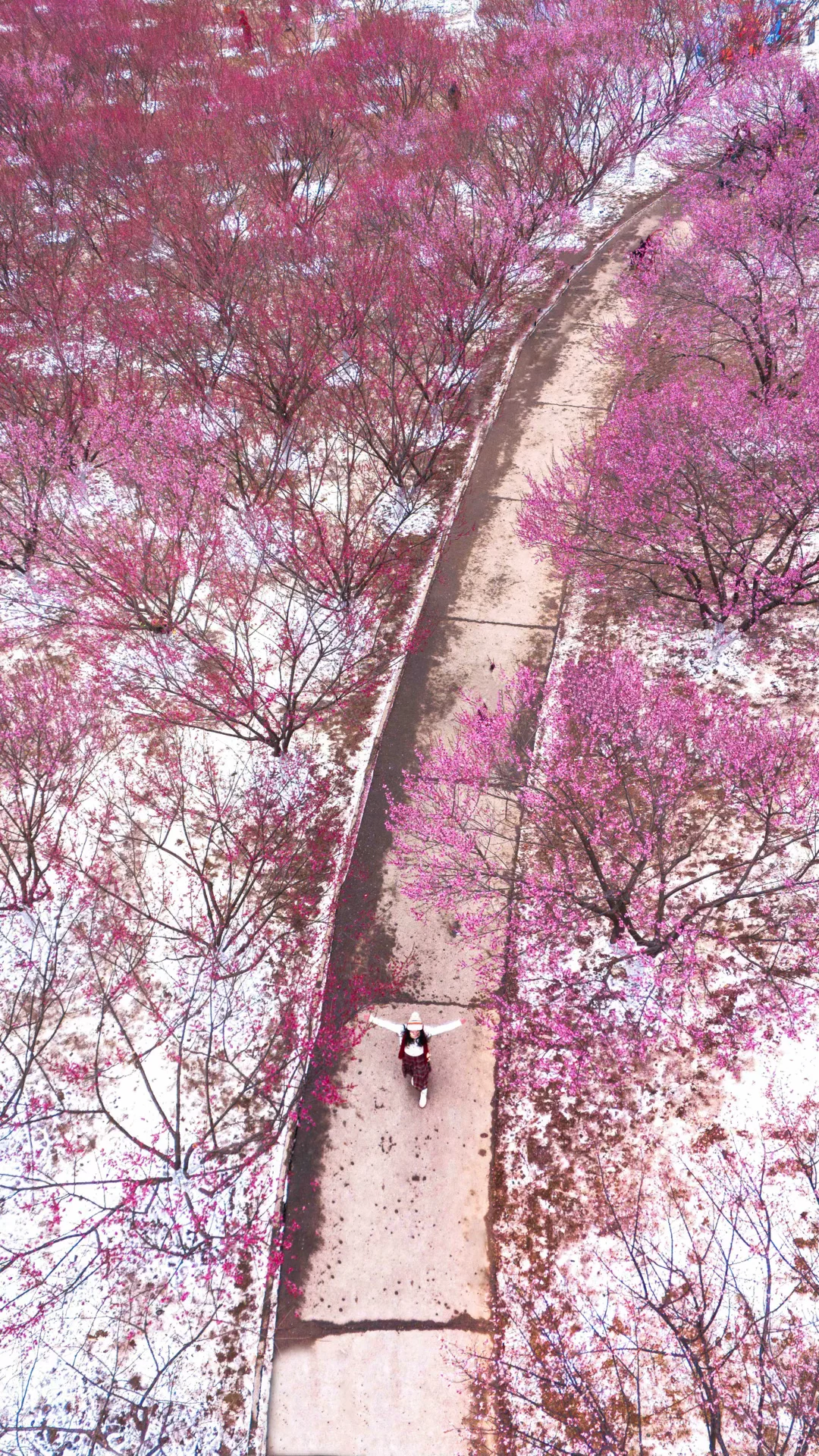 武汉8000平梅林美到失语‼️免费❗️附攻略